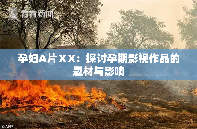 孕妇A片ⅩX：探讨孕期影视作品的题材与影响