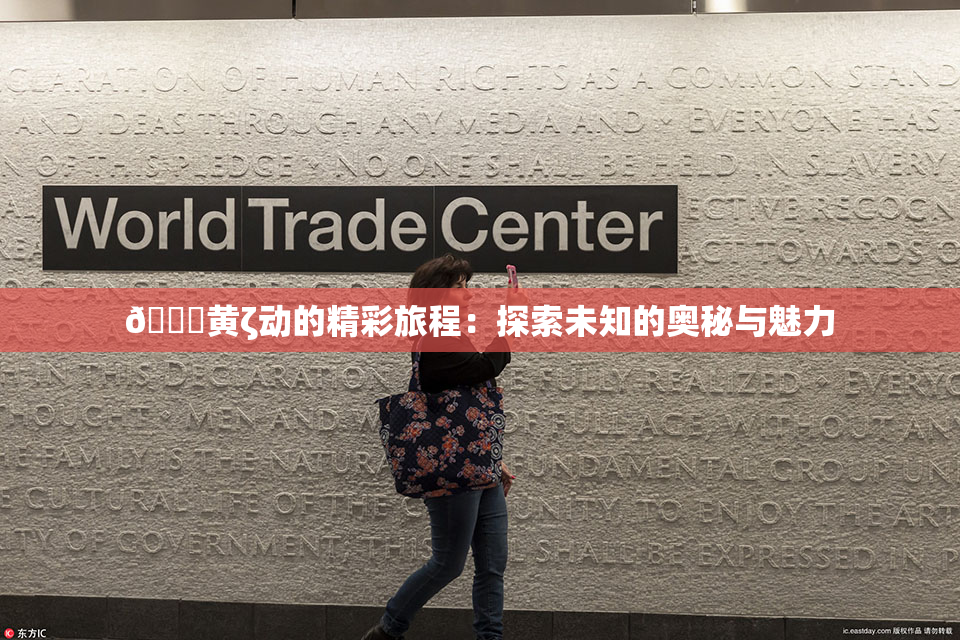 🔞黄ζ动的精彩旅程：探索未知的奥秘与魅力