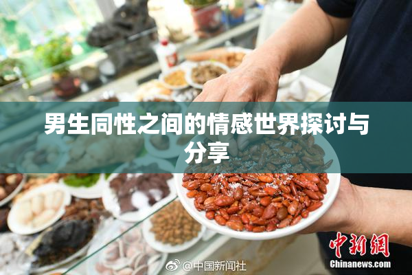 男生同性之间的情感世界探讨与分享