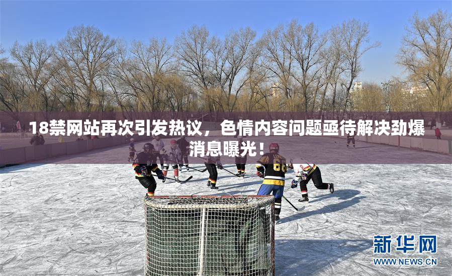 18禁网站再次引发热议，色情内容问题亟待解决劲爆消息曝光！