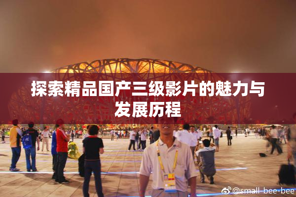 探索精品国产三级影片的魅力与发展历程