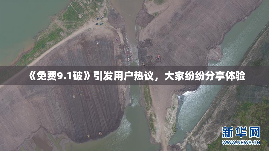 《免费9.1破》引发用户热议，大家纷纷分享体验