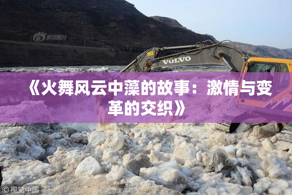《火舞风云中藻的故事：激情与变革的交织》