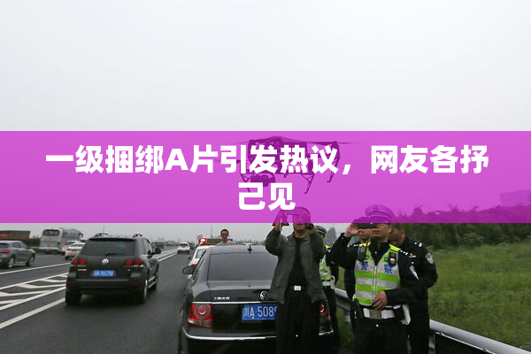一级捆绑A片引发热议，网友各抒己见