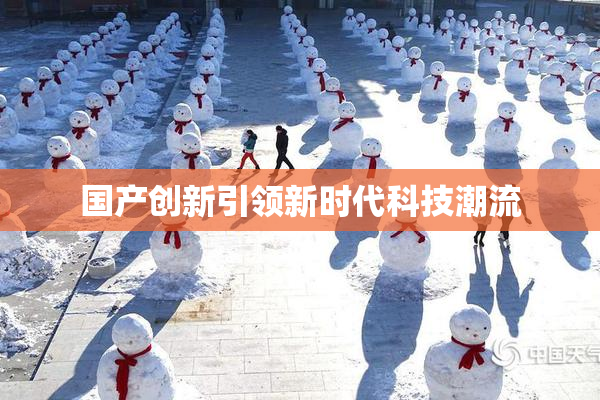 国产创新引领新时代科技潮流