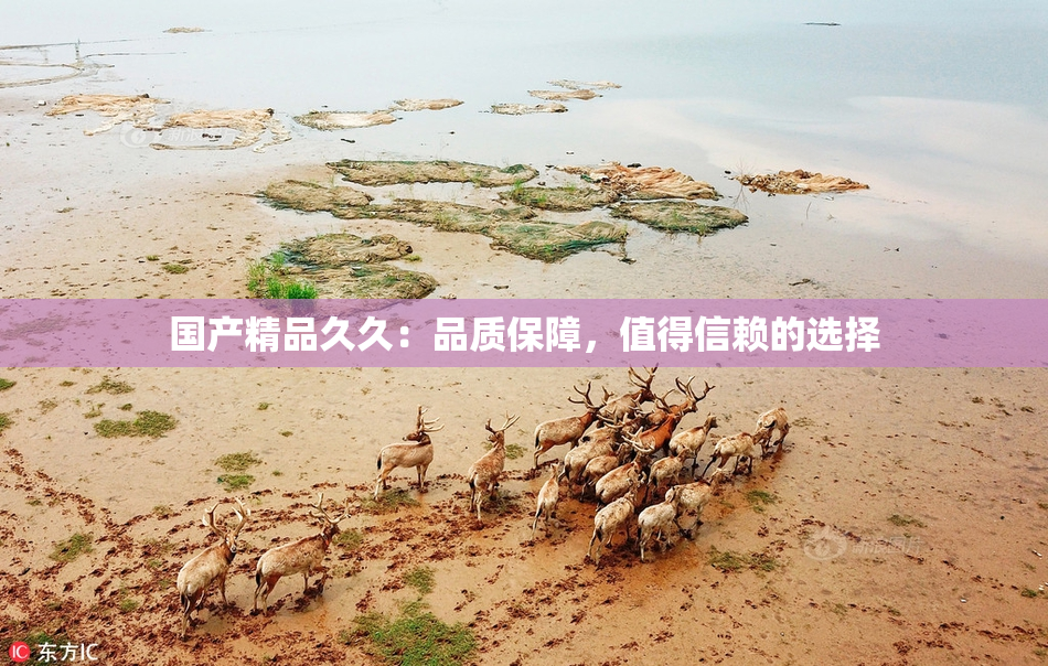 国产精品久久：品质保障，值得信赖的选择