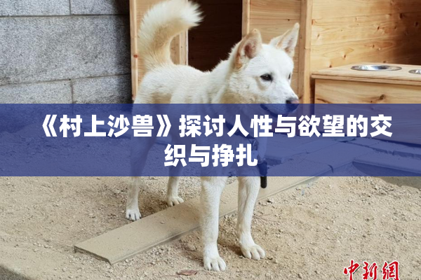 《村上沙兽》探讨人性与欲望的交织与挣扎
