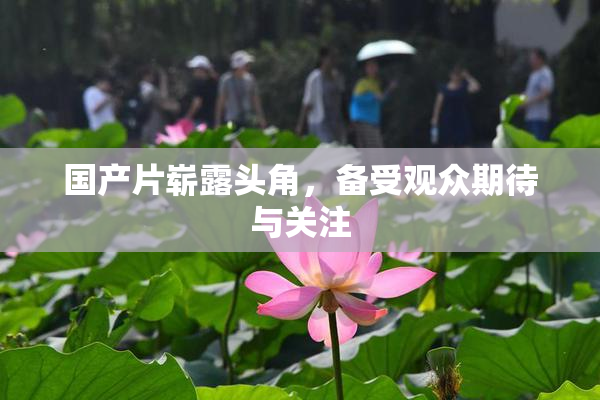 国产片崭露头角，备受观众期待与关注