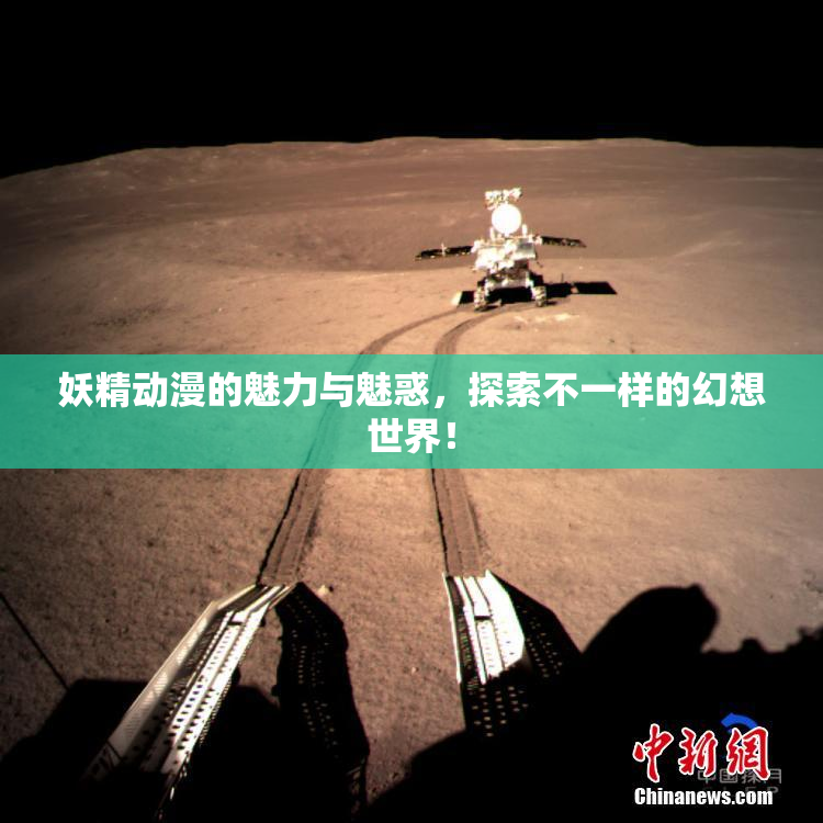 妖精动漫的魅力与魅惑，探索不一样的幻想世界！