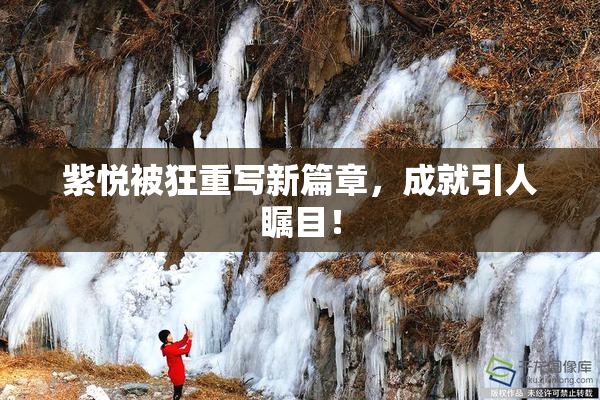 紫悦被狂重写新篇章，成就引人瞩目！