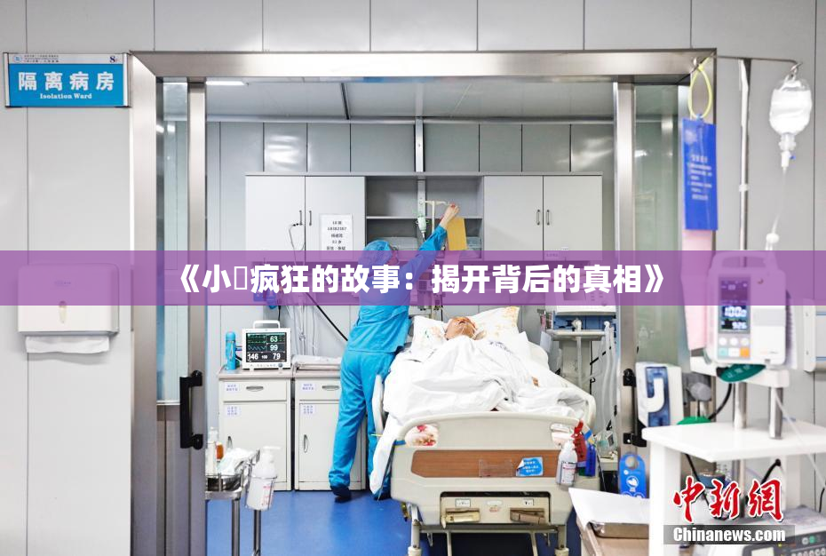 《小泬疯狂的故事：揭开背后的真相》