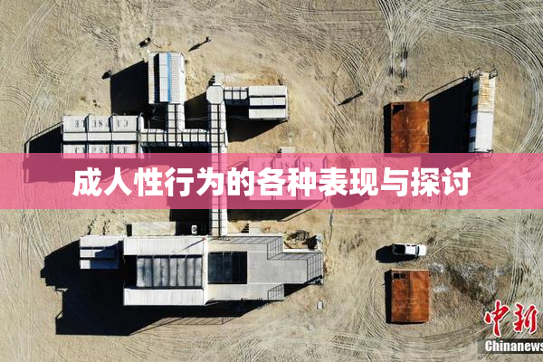 成人性行为的各种表现与探讨