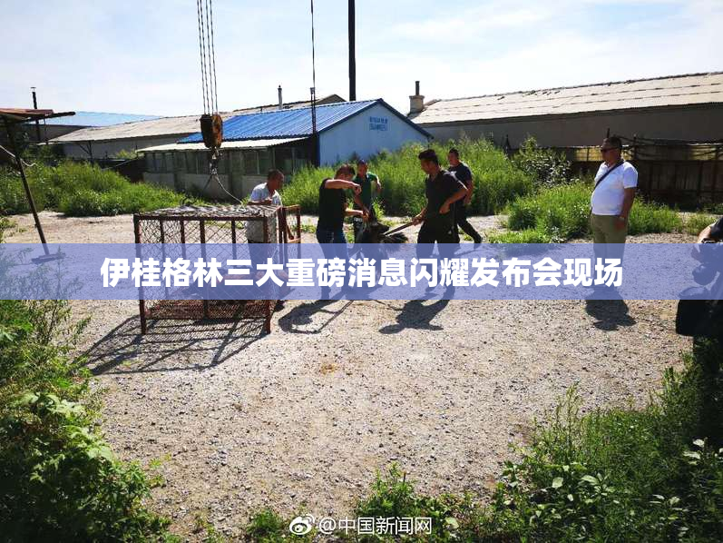 伊桂格林三大重磅消息闪耀发布会现场
