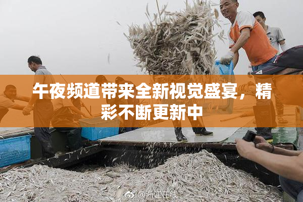 午夜频道带来全新视觉盛宴，精彩不断更新中