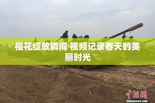 樱花绽放瞬间 视频记录春天的美丽时光