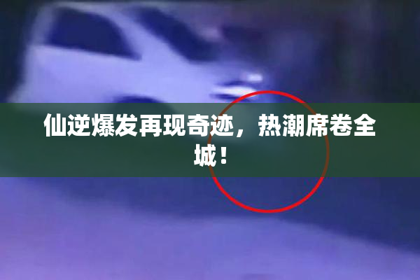 仙逆爆发再现奇迹，热潮席卷全城！