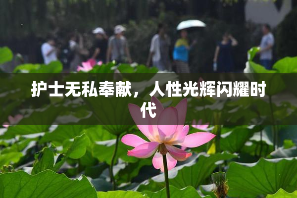护士无私奉献，人性光辉闪耀时代