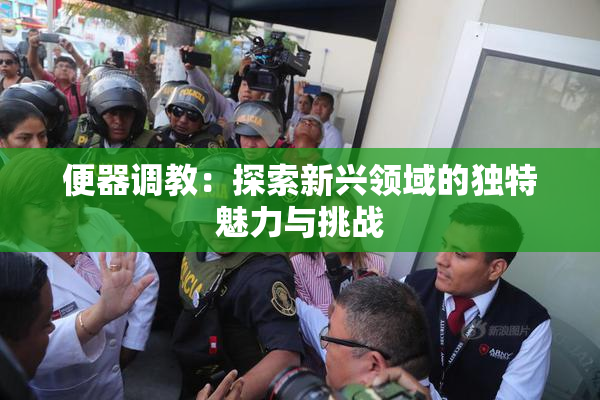 便器调教：探索新兴领域的独特魅力与挑战