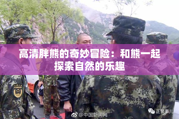 高清胖熊的奇妙冒险：和熊一起探索自然的乐趣