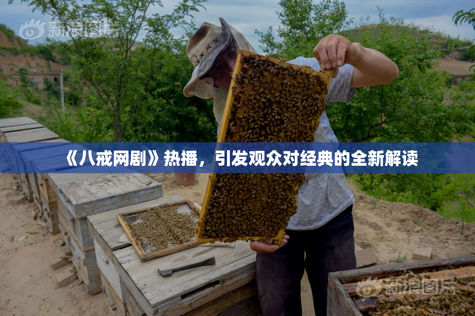 《八戒网剧》热播，引发观众对经典的全新解读