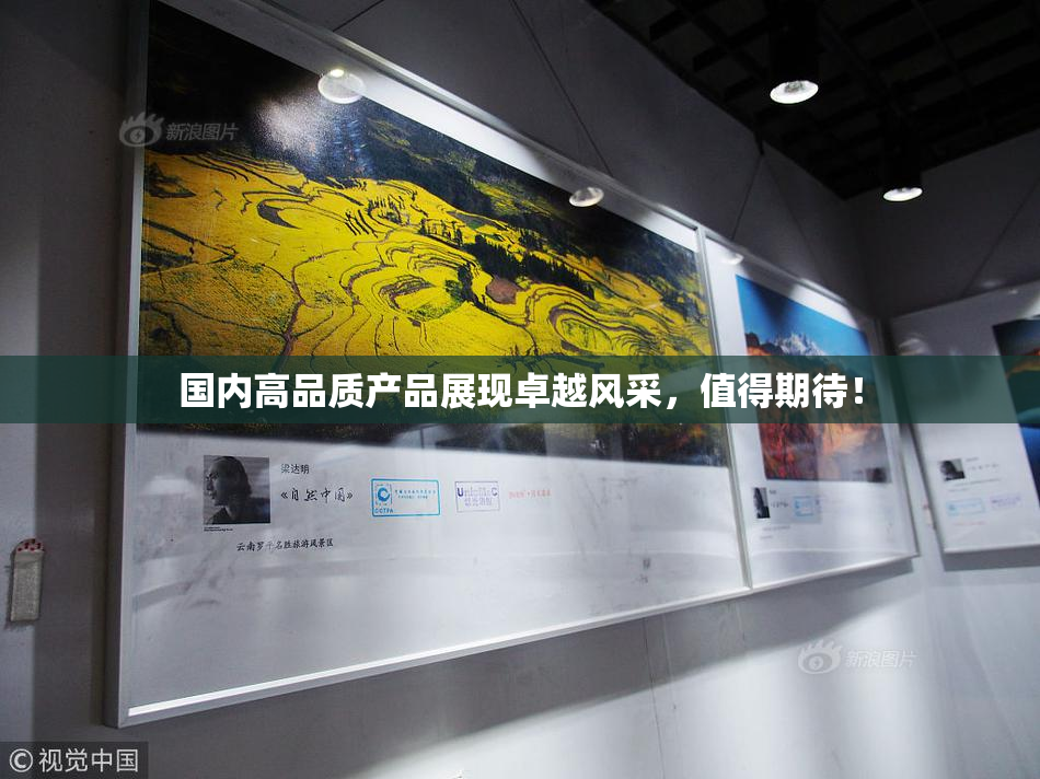 国内高品质产品展现卓越风采，值得期待！