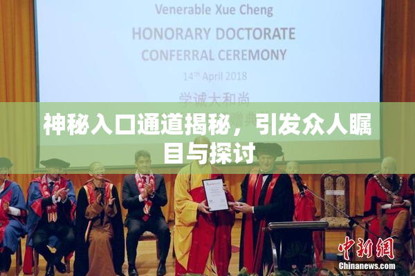 神秘入口通道揭秘，引发众人瞩目与探讨