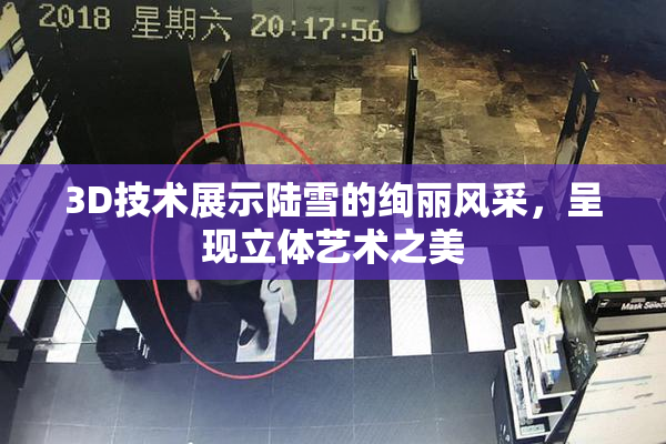 3D技术展示陆雪的绚丽风采，呈现立体艺术之美