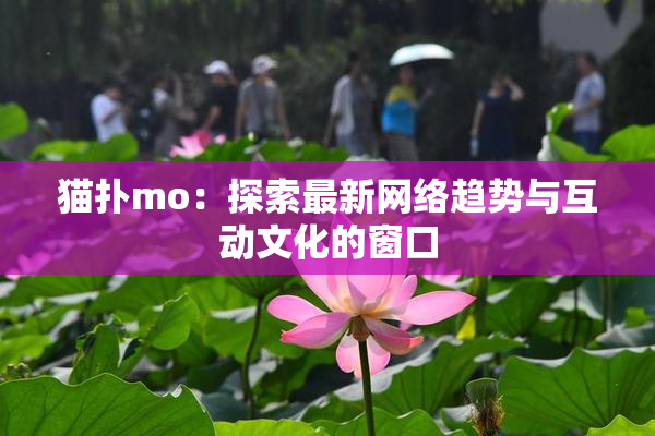 猫扑mo：探索最新网络趋势与互动文化的窗口