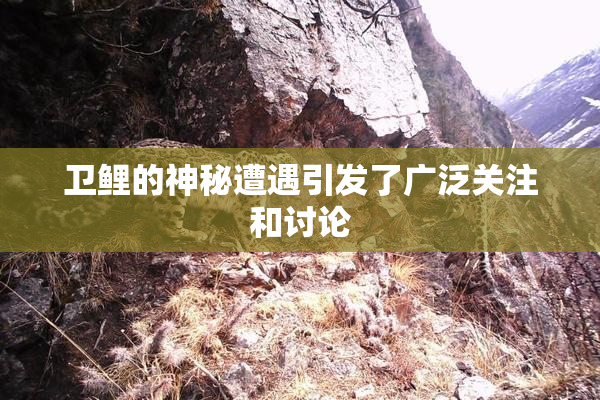 卫鲤的神秘遭遇引发了广泛关注和讨论