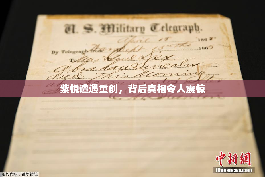 紫悦遭遇重创，背后真相令人震惊