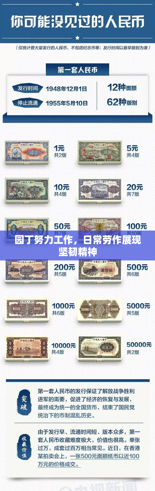 园丁努力工作，日常劳作展现坚韧精神