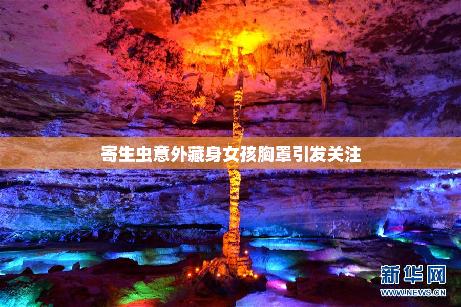 寄生虫意外藏身女孩胸罩引发关注