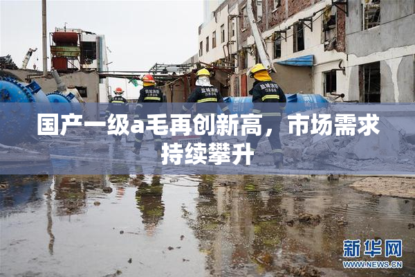 国产一级a毛再创新高，市场需求持续攀升