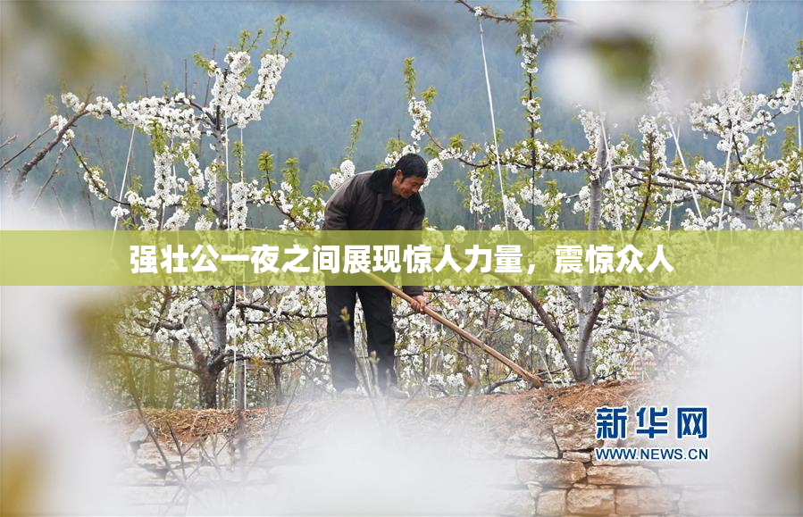 强壮公一夜之间展现惊人力量，震惊众人