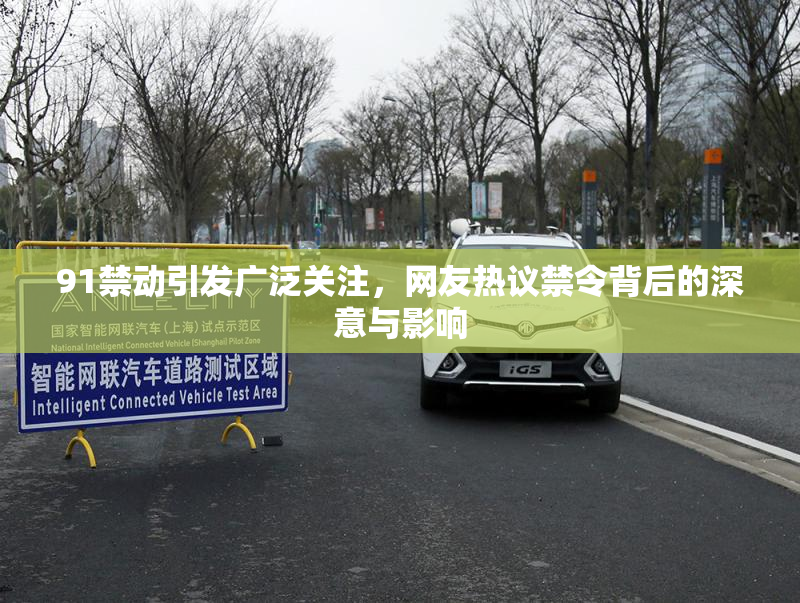91禁动引发广泛关注，网友热议禁令背后的深意与影响