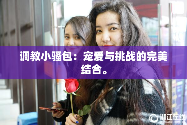 调教小骚包：宠爱与挑战的完美结合。