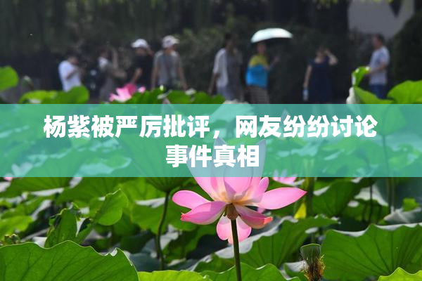 杨紫被严厉批评，网友纷纷讨论事件真相