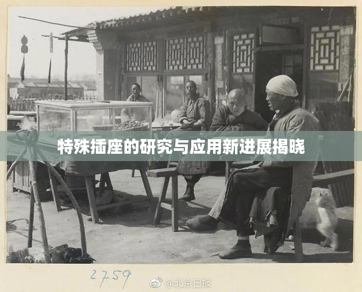 特殊插座的研究与应用新进展揭晓