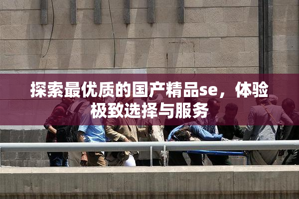 探索最优质的国产精品se，体验极致选择与服务