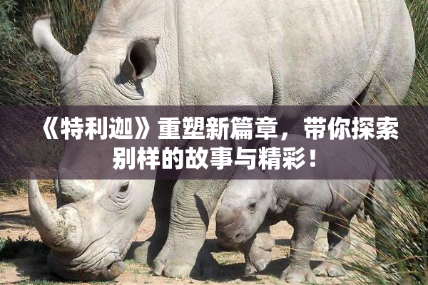 《特利迦》重塑新篇章，带你探索别样的故事与精彩！