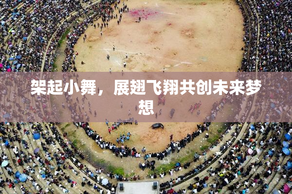 架起小舞，展翅飞翔共创未来梦想