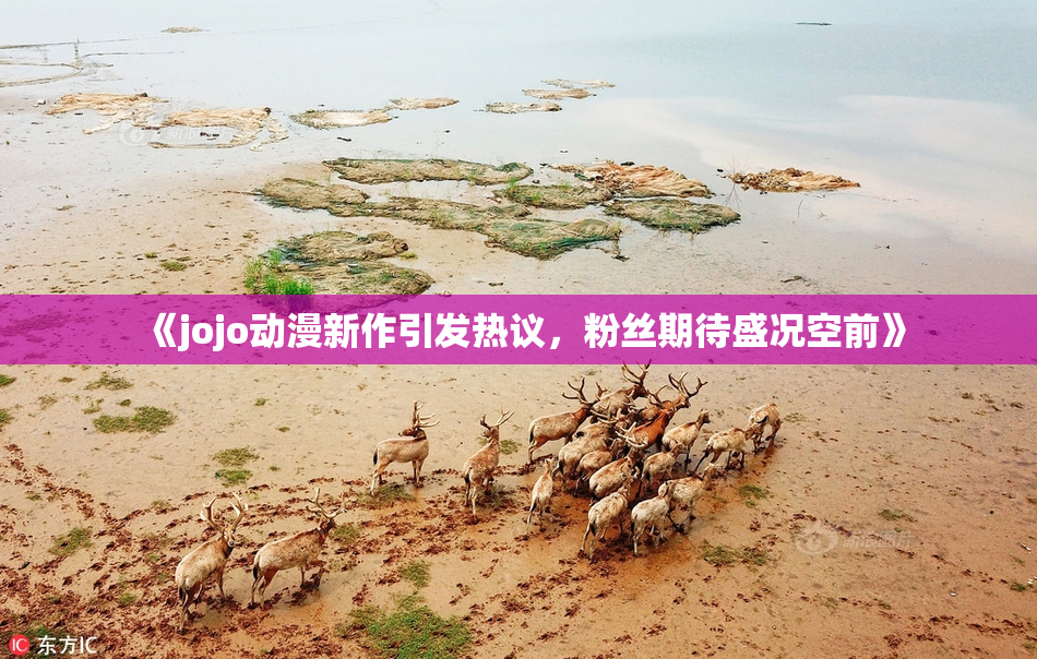 《jojo动漫新作引发热议，粉丝期待盛况空前》