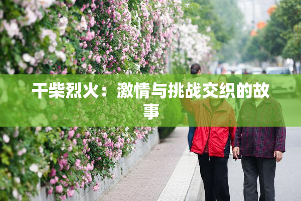 干柴烈火：激情与挑战交织的故事