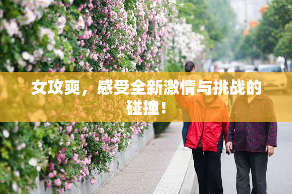 女攻爽，感受全新激情与挑战的碰撞！