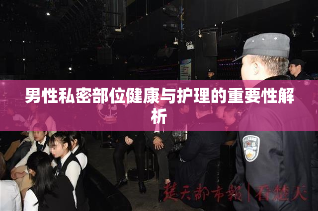 男性私密部位健康与护理的重要性解析