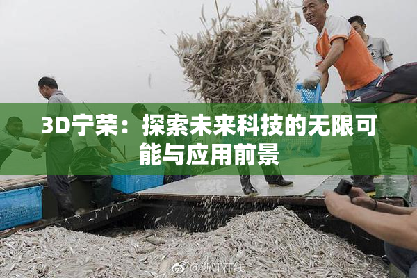 3D宁荣：探索未来科技的无限可能与应用前景