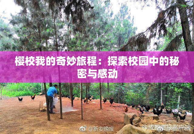 樱校我的奇妙旅程：探索校园中的秘密与感动