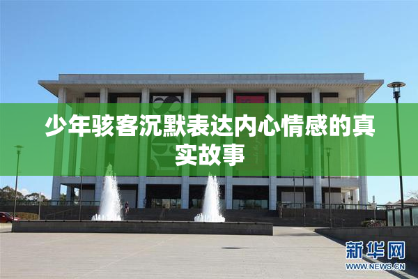 少年骇客沉默表达内心情感的真实故事
