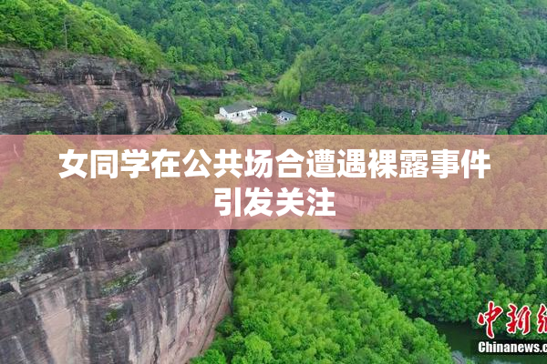 女同学在公共场合遭遇裸露事件引发关注