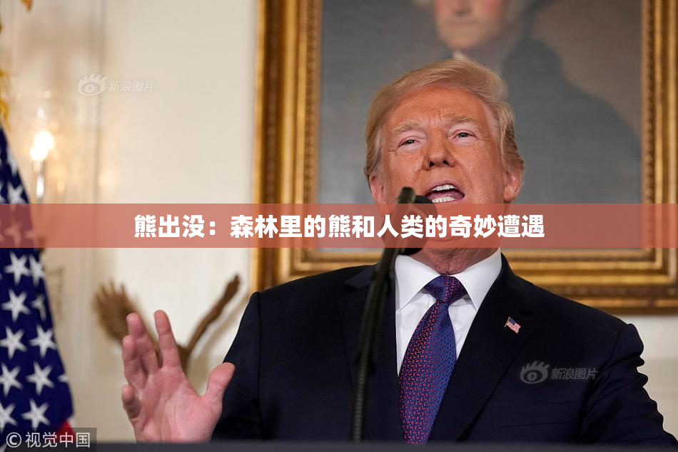 熊出没：森林里的熊和人类的奇妙遭遇